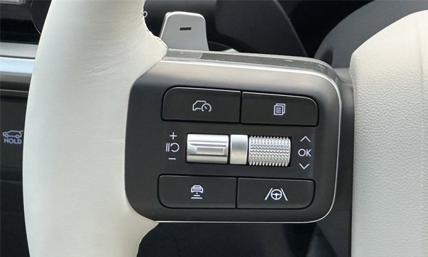 Paletas de cambio (detrás del volante) / Paddle Shifters