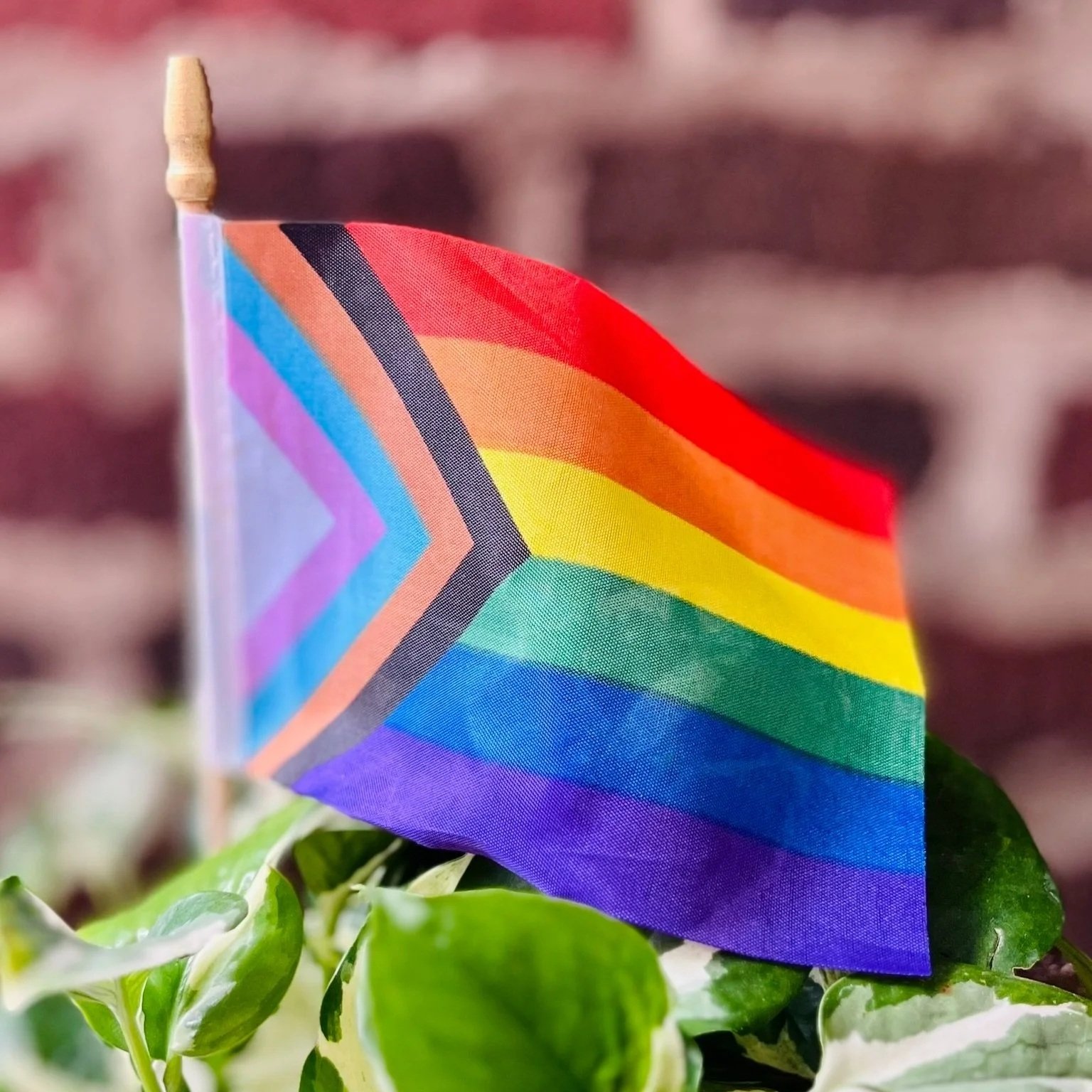 A small rainbow-striped pride flag with a chevron pattern, attached to a wooden stick, is displayed among green leaves against a blurred brick wall background.