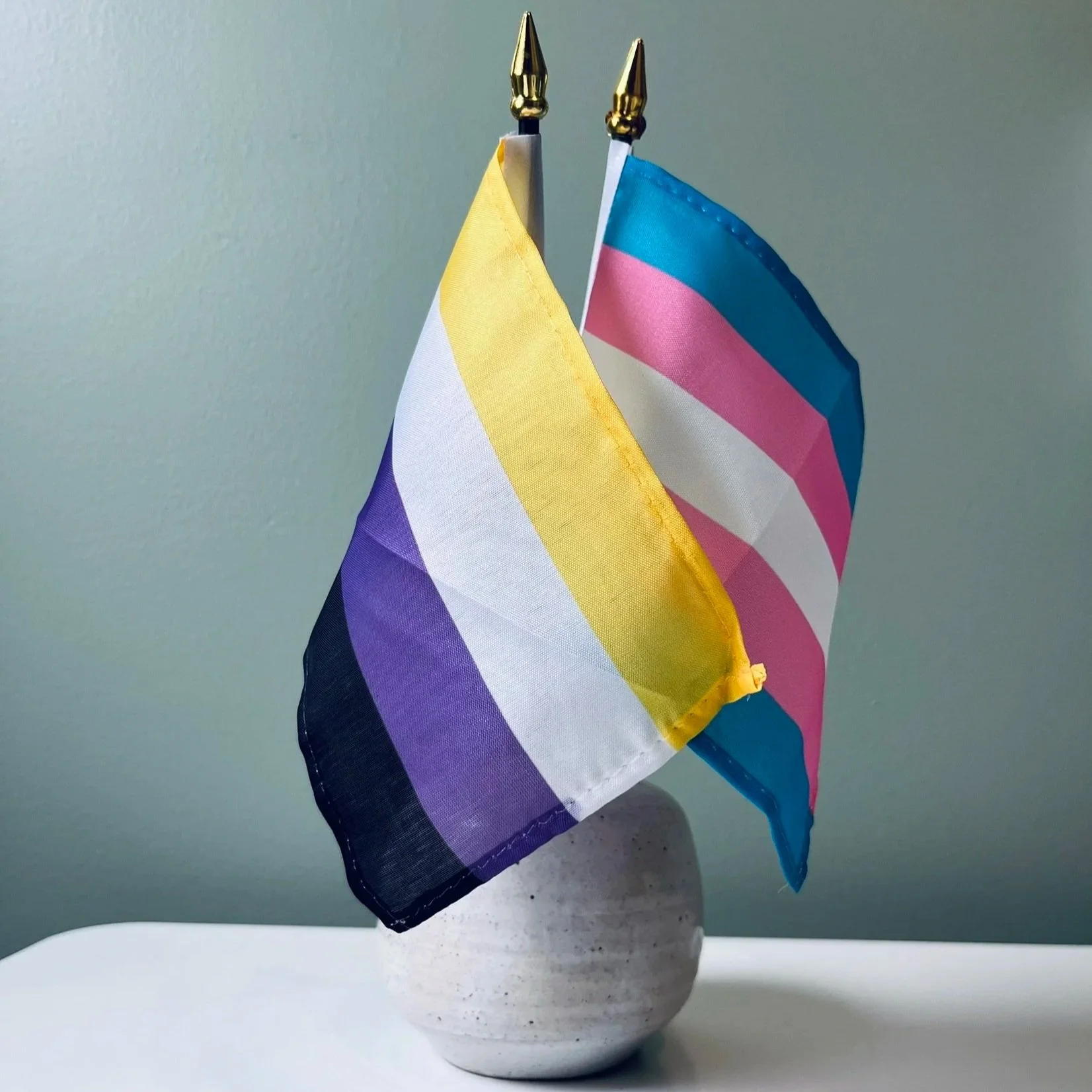 Two small rainbow Pride flags with the colors of the transgender pride flag, displayed in a white vase on a table against a plain wall.