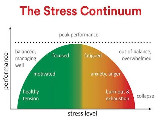 A Graph to show how stress can increase your performance but too much of both can lead to burnout