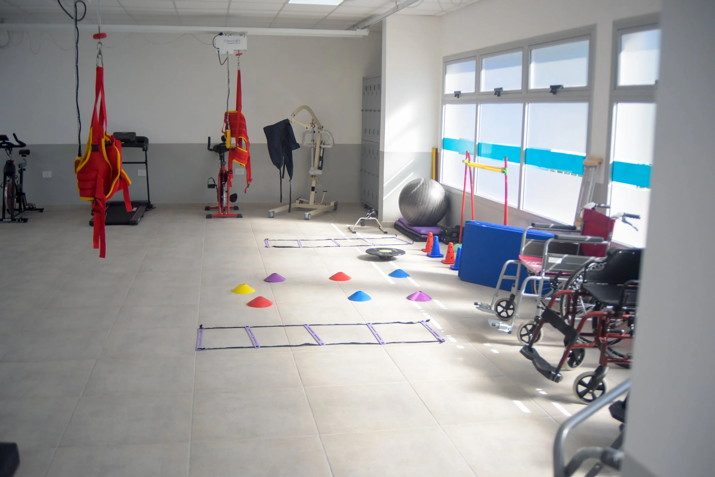 Discapacidad, cuidados y transformación del sistema de salud: hacia una política integral de derechos