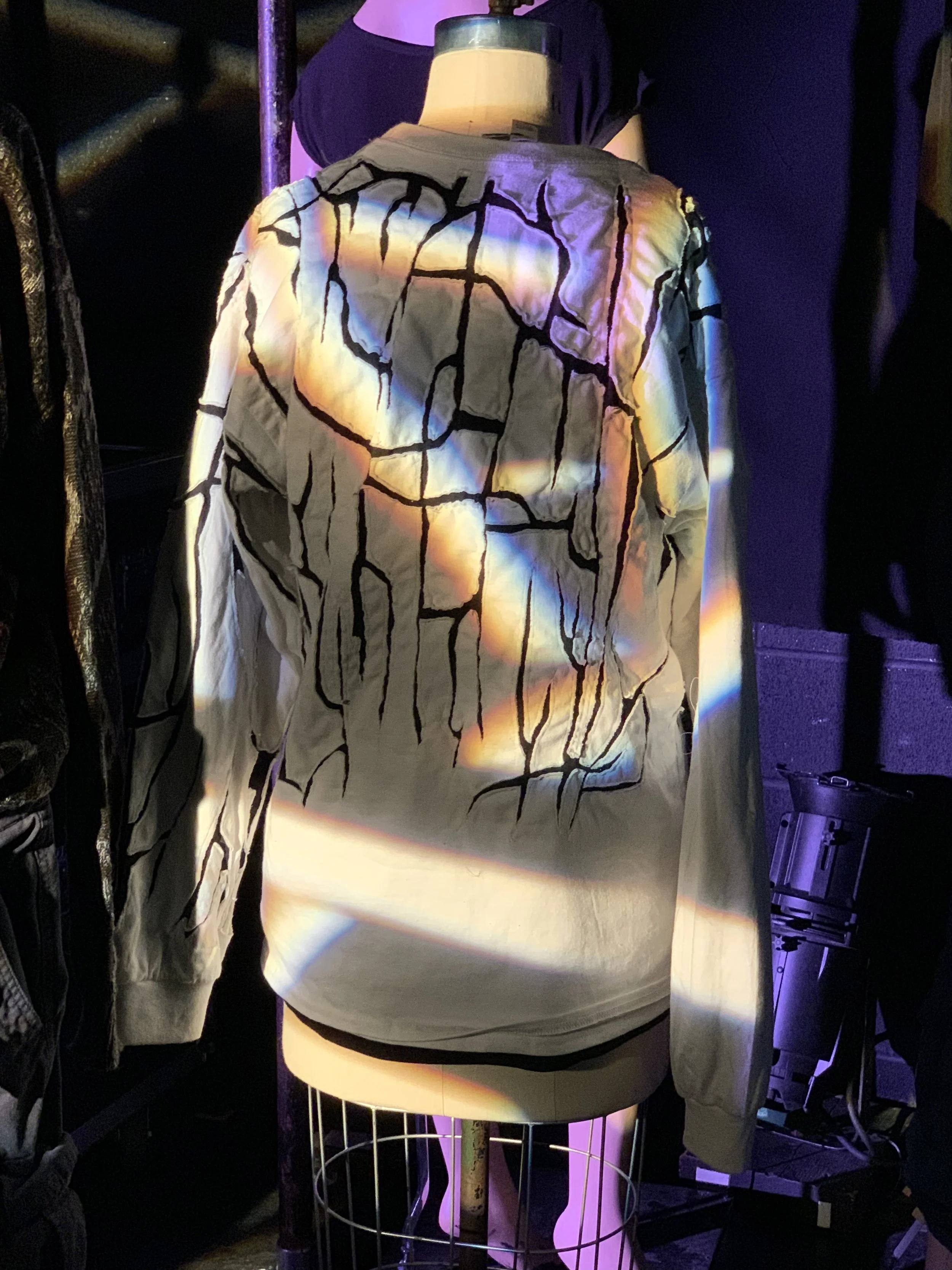 skellig shirt 2.jpg