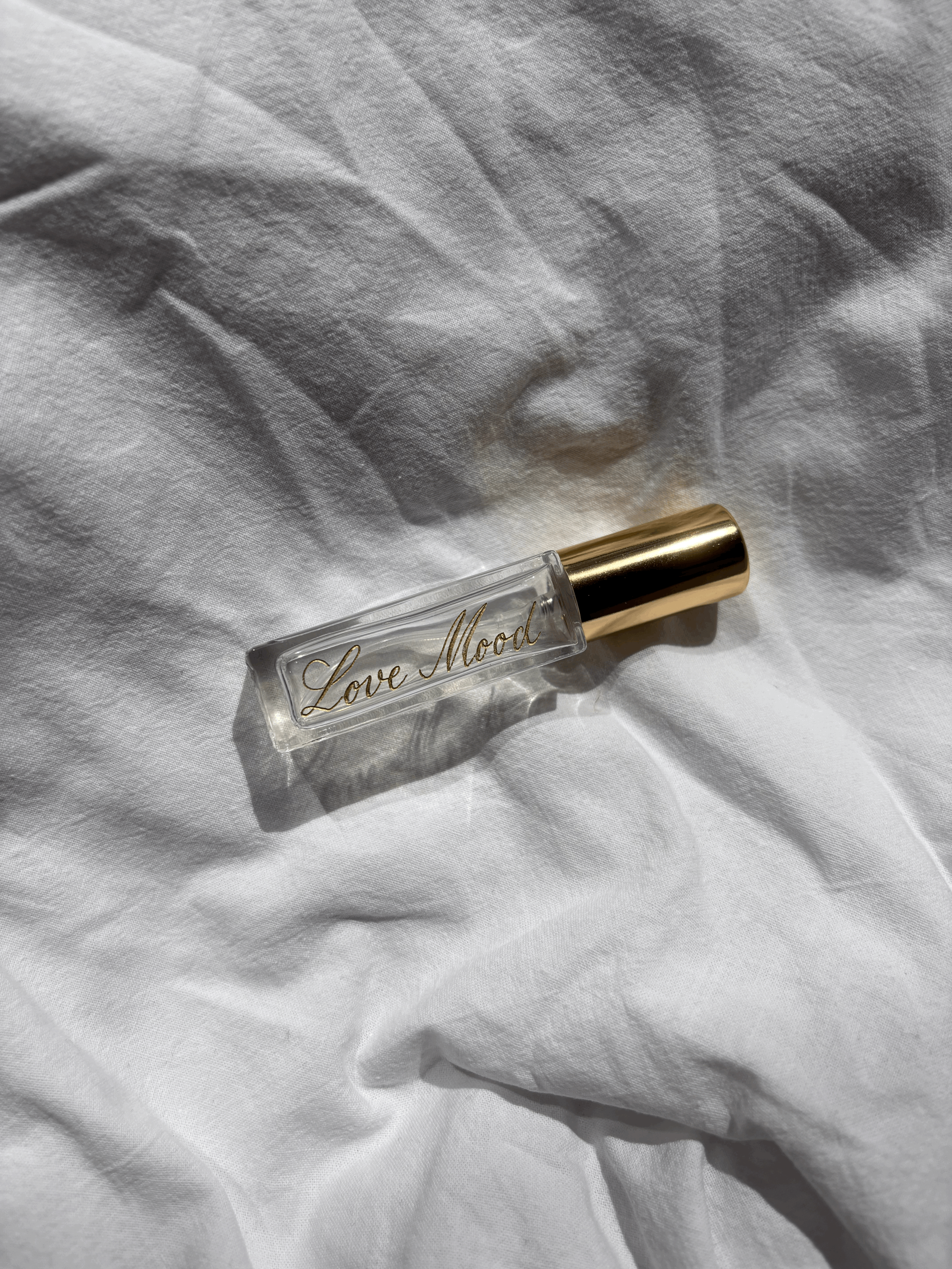 VAPORISATEUR DE SAC