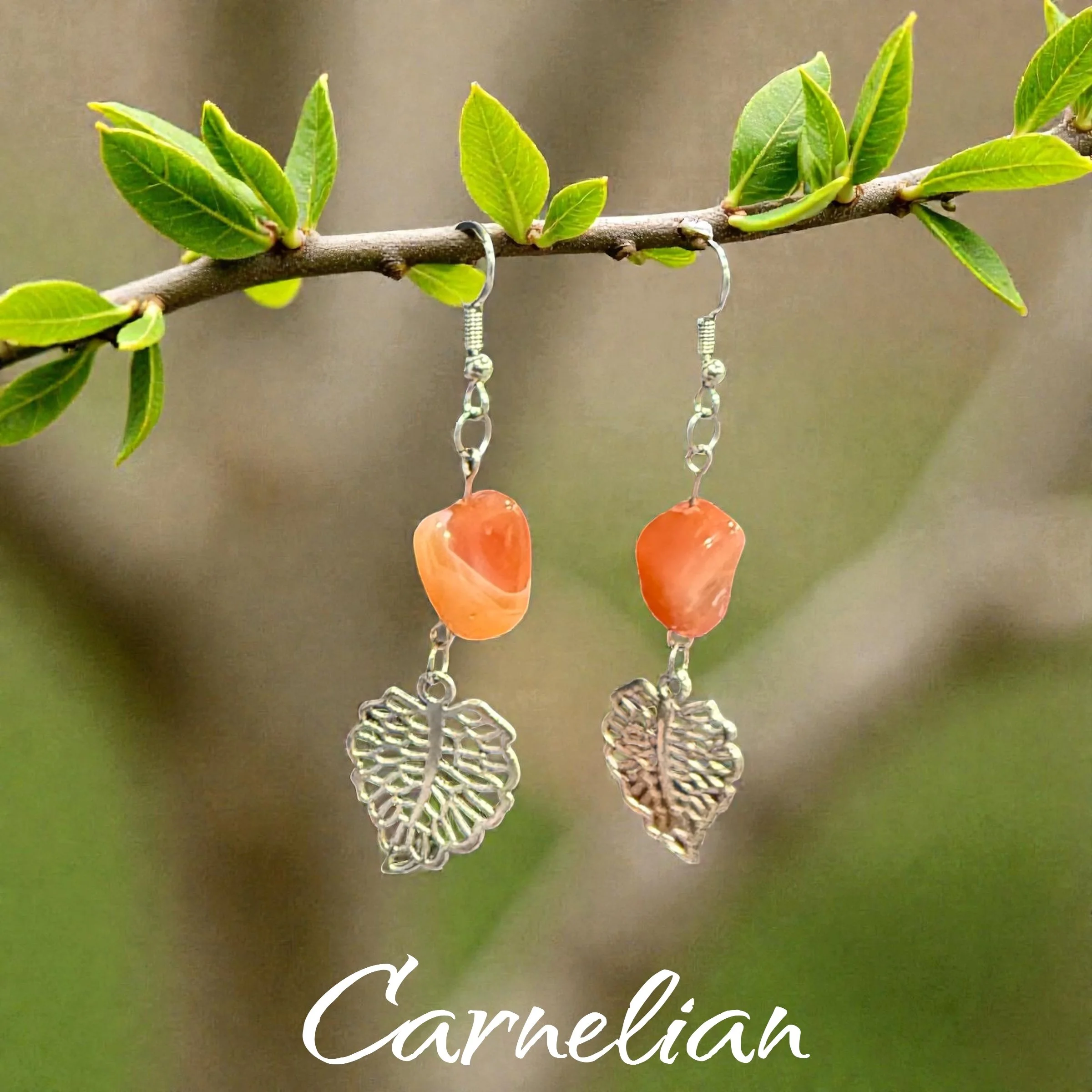 Carnelian Earrings
