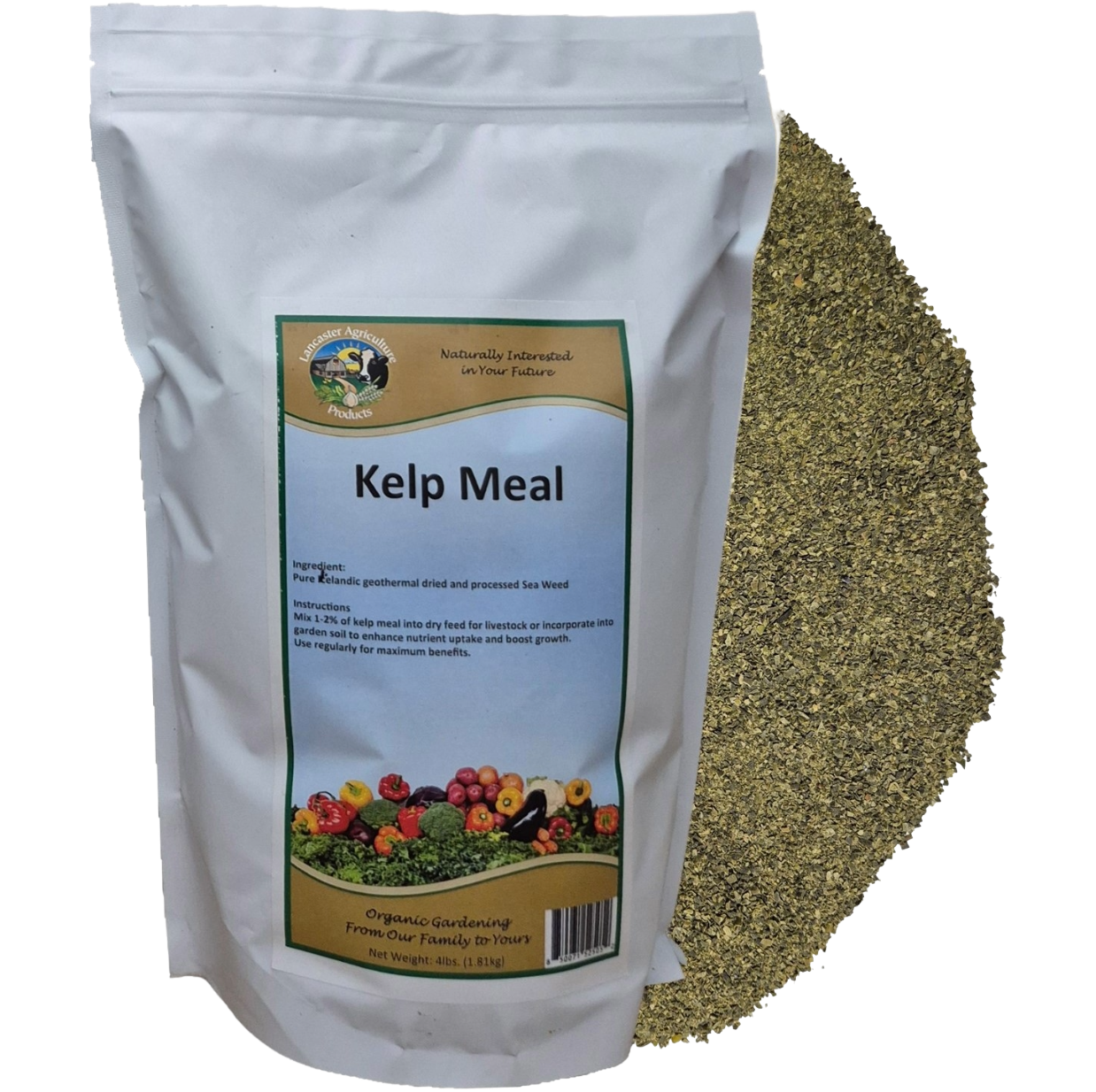 kelp bag 16 full.png