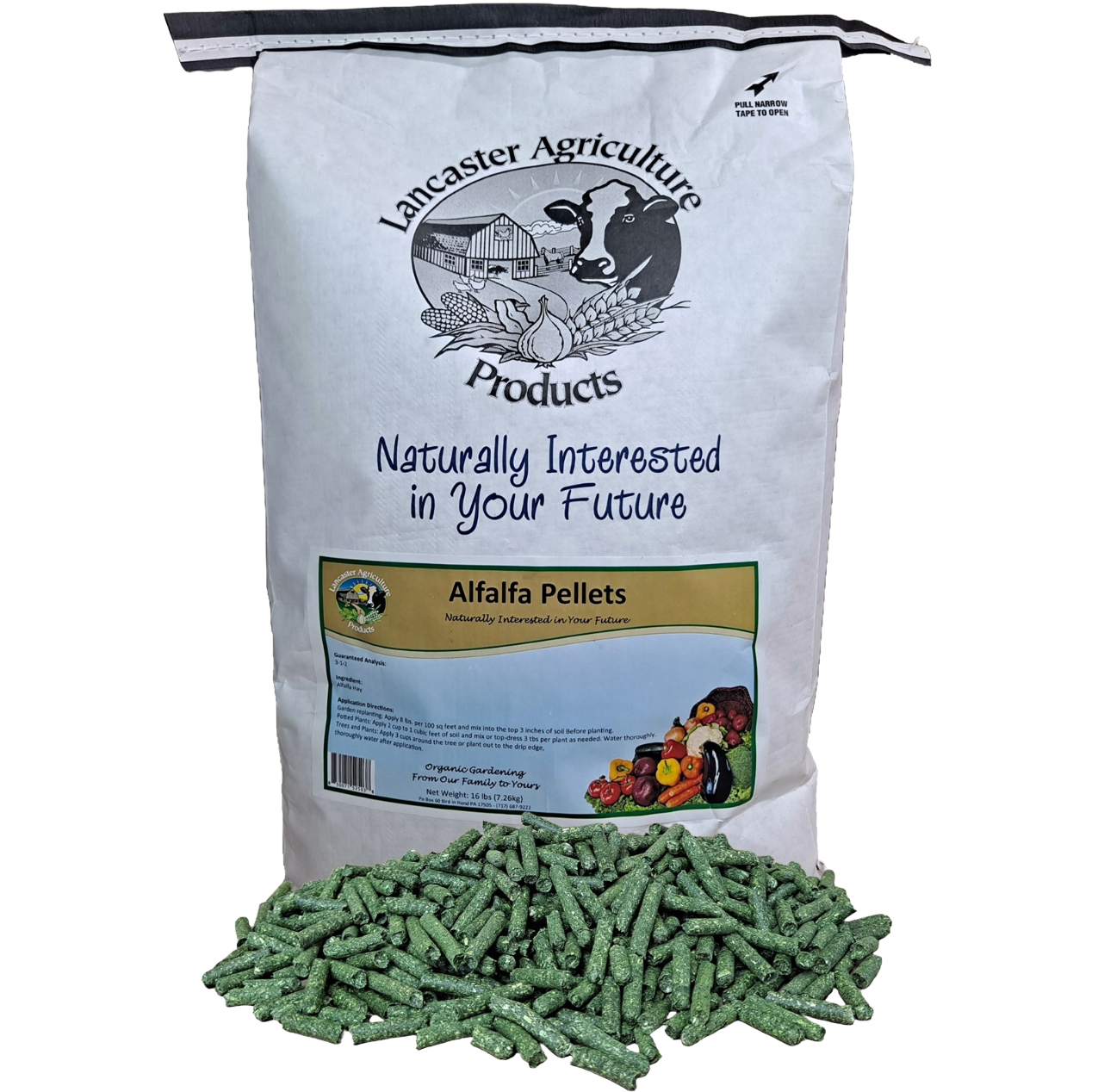 Alfalfa 16 fulsq.png