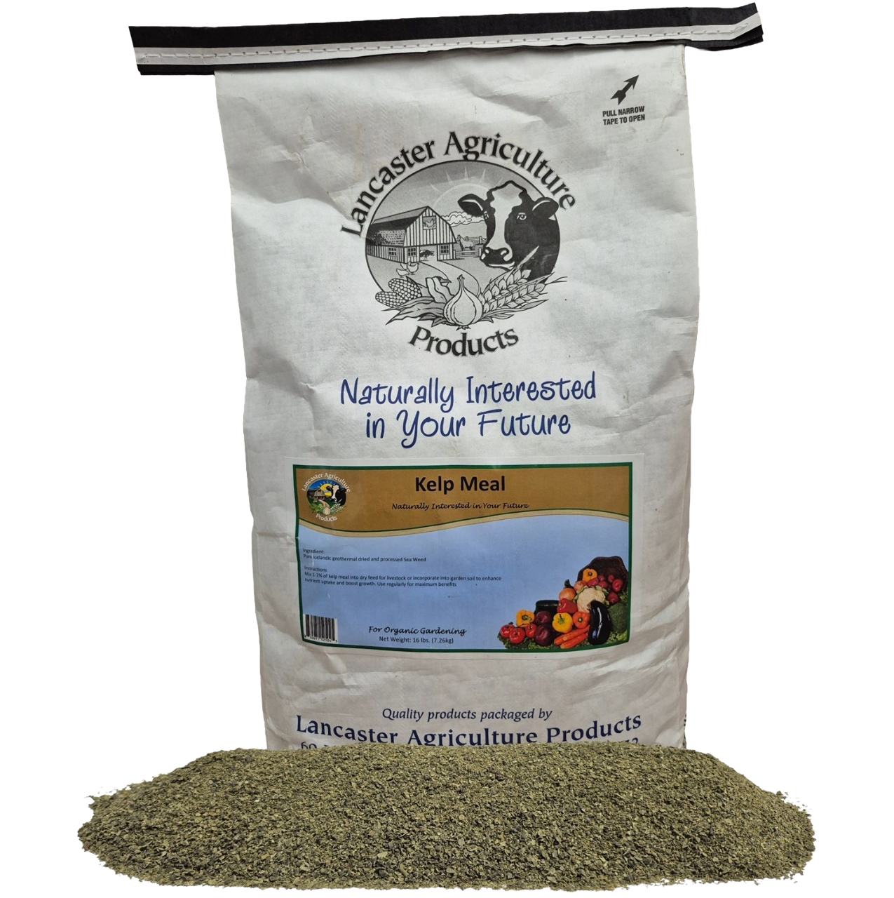 kelp bag 16lb full.png