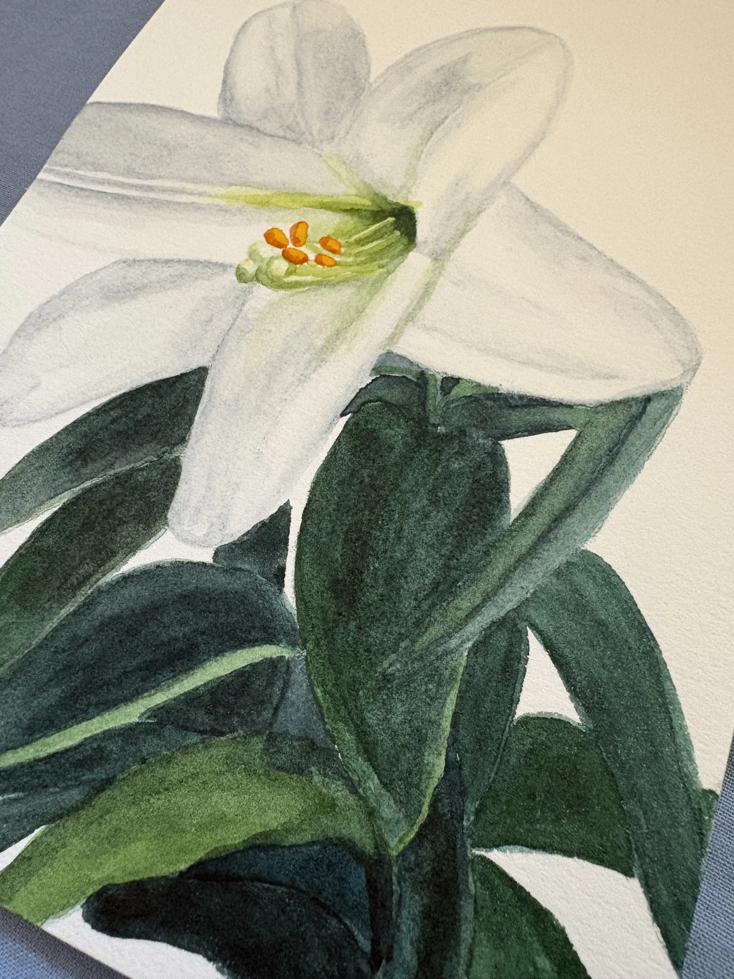 Closeup of the detail in this watercolor Easter lily painting with soft light, symbolizing resurrection, purity, and hope, inspired by a story of faith, healing, and new life through God.