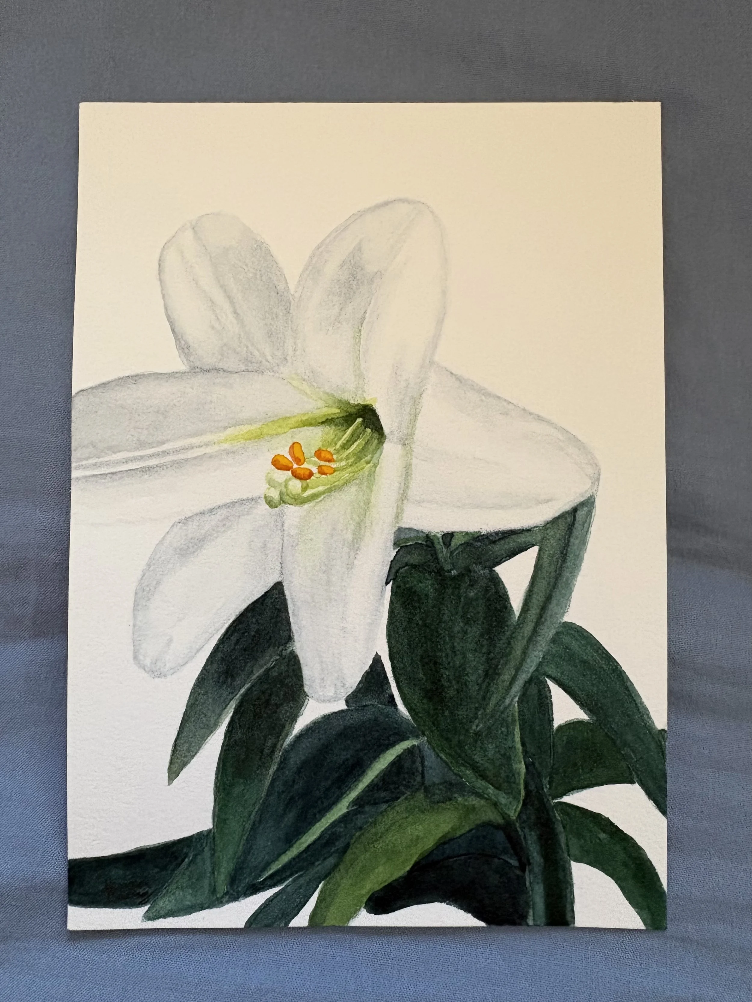 White watercolor Easter lily painting with soft light, symbolizing resurrection, purity, and hope, inspired by a story of faith, healing, and new life through God.