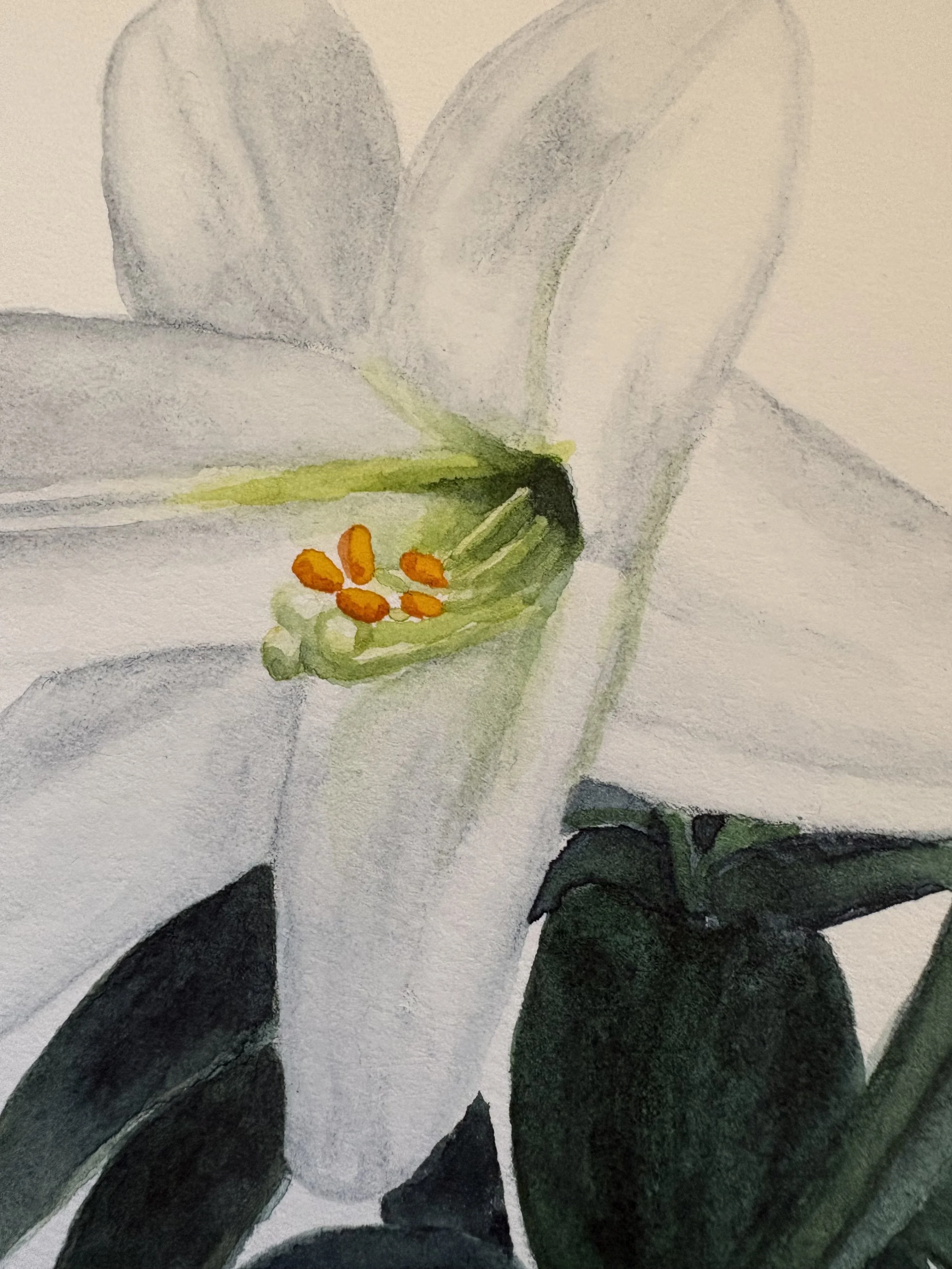White watercolor Easter lily painting with soft light, symbolizing resurrection, purity, and hope, inspired by a story of faith, healing, and new life through God.