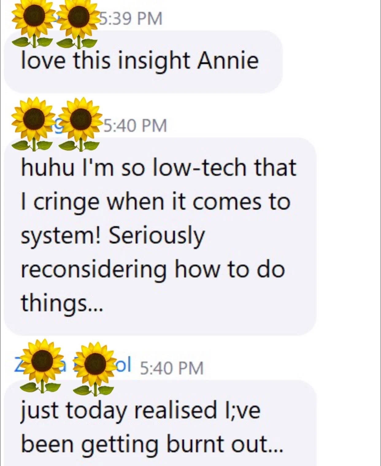 Screenshot of a text conversation with sunflower emojis, where someone expresses love for an insight from Annie and mentions feeling low-tech and reconsidering their approach to systems, ending with a realization of burnout.