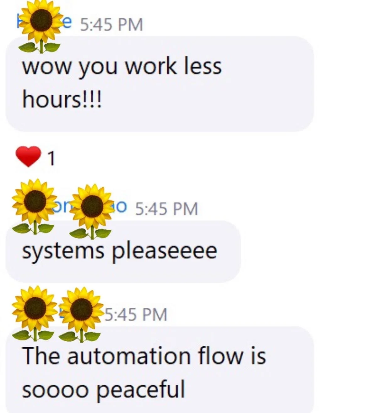 Screenshot of a text conversation with sunflower emojis and comments about work hours and system automation, expressing peace and satisfaction.