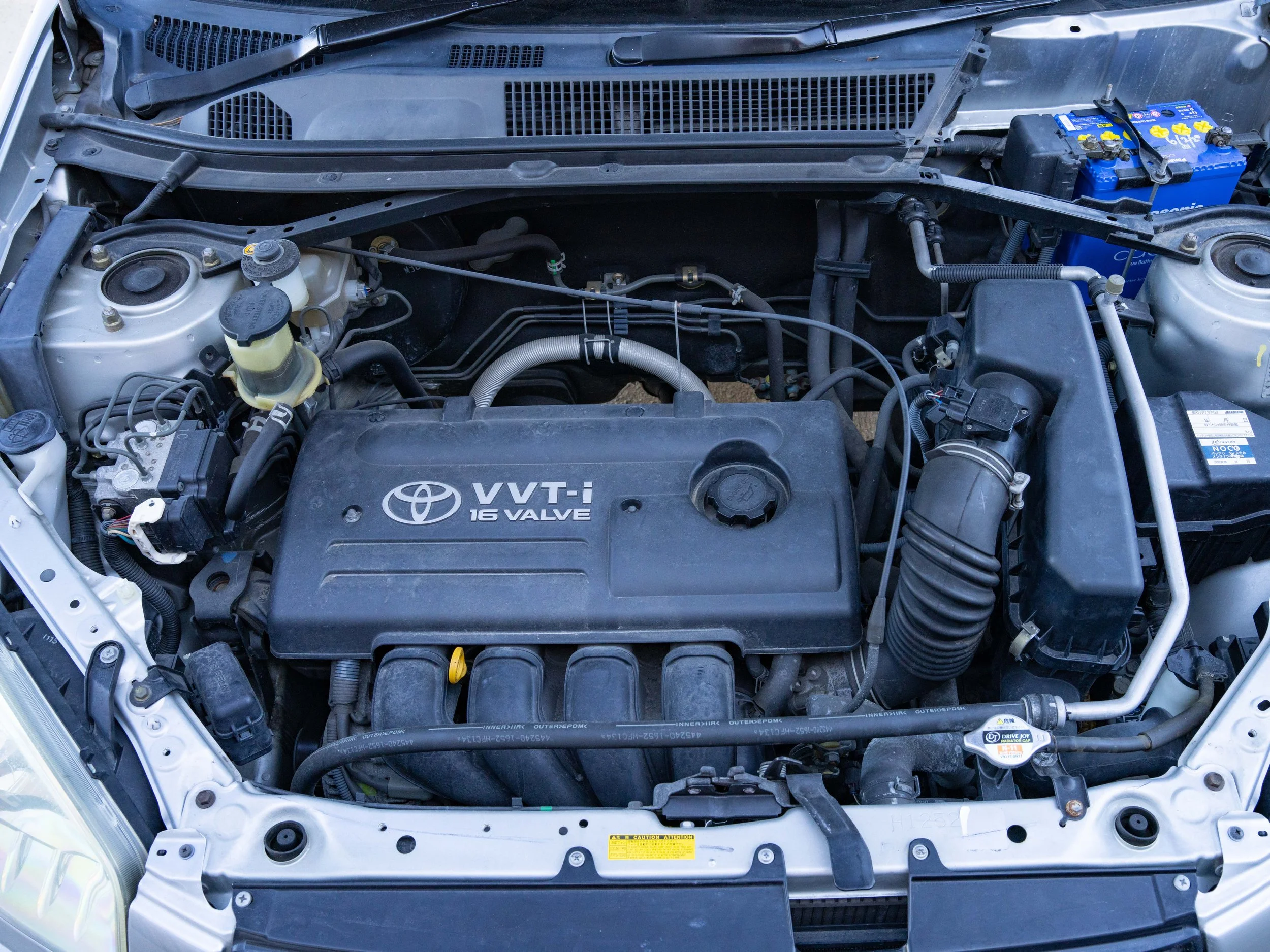 JDM-84.jpg