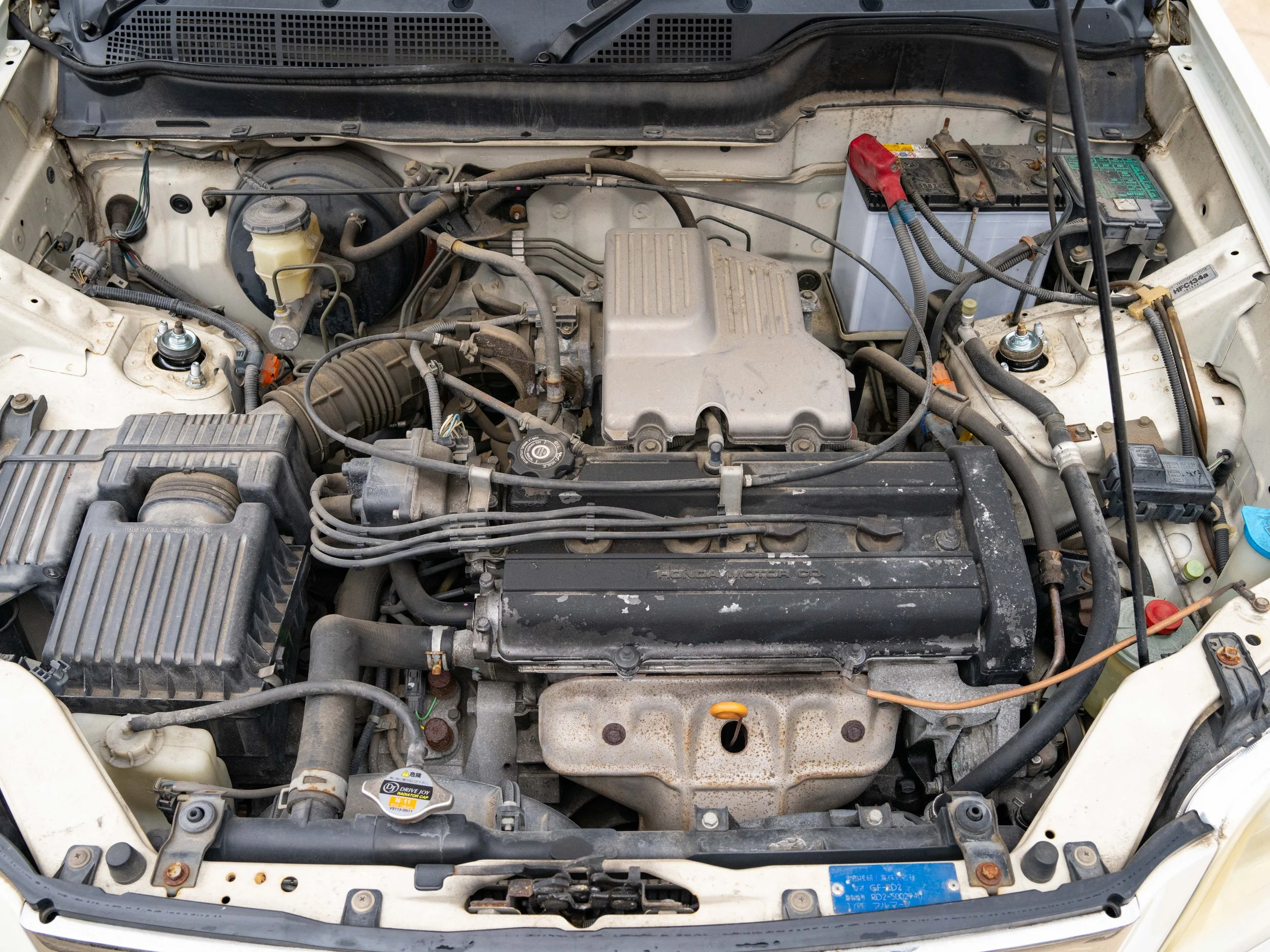 JDM-39.jpg
