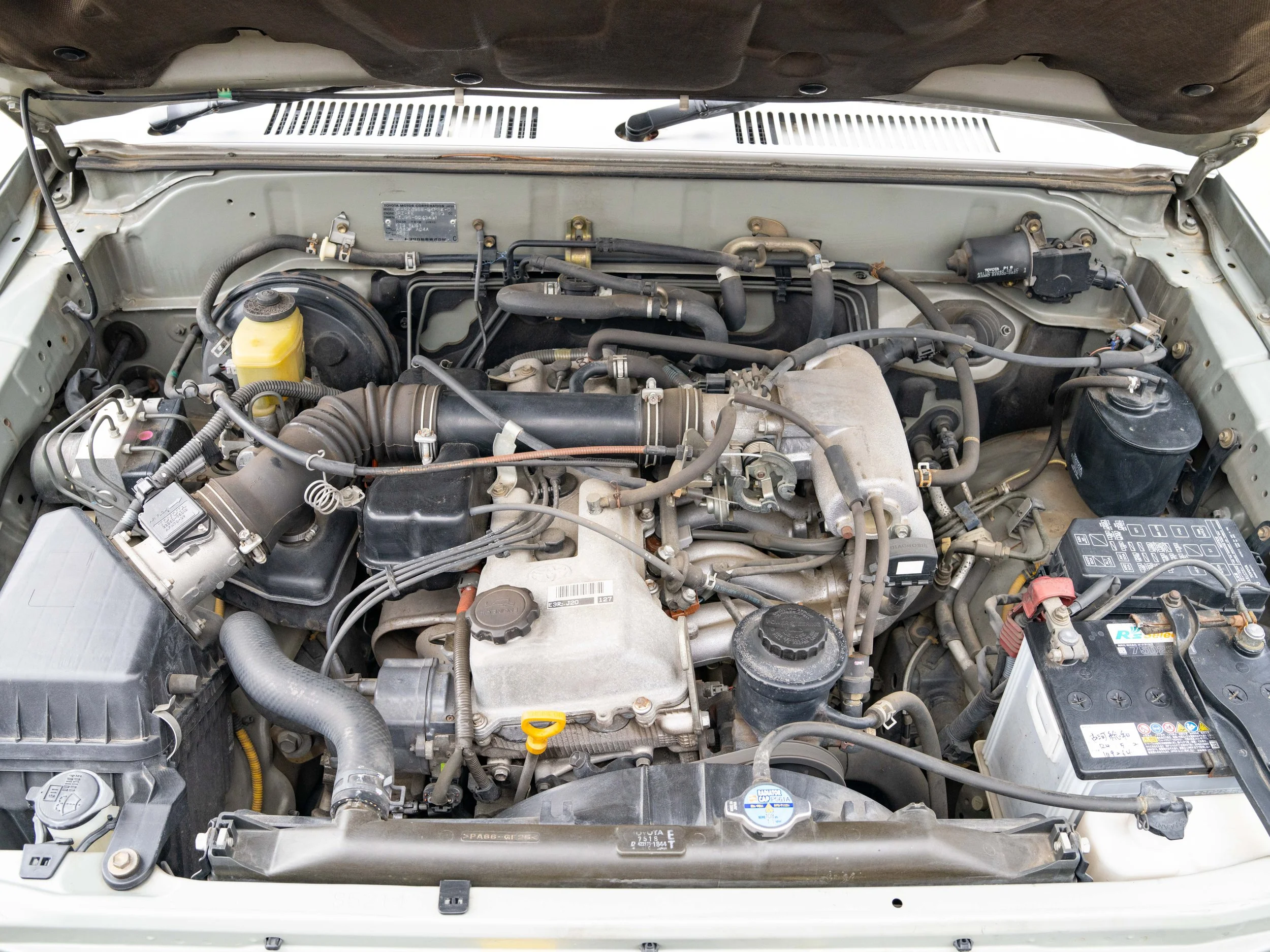 JDM-11.jpg