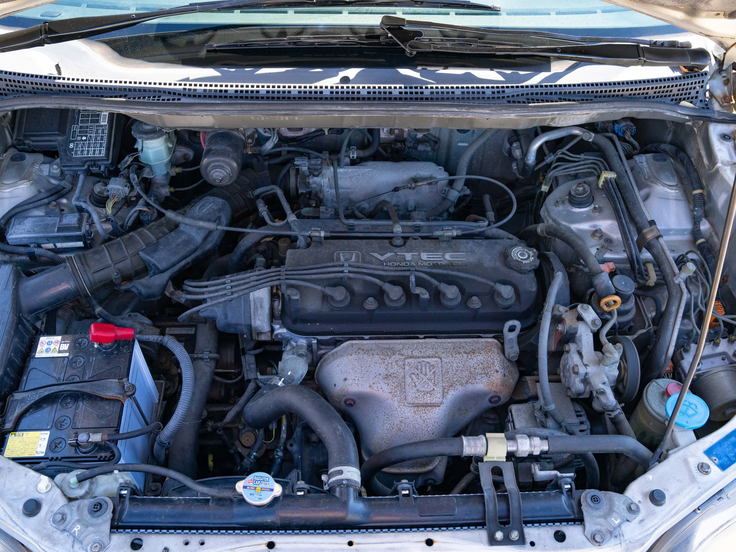 JDM-129.jpg