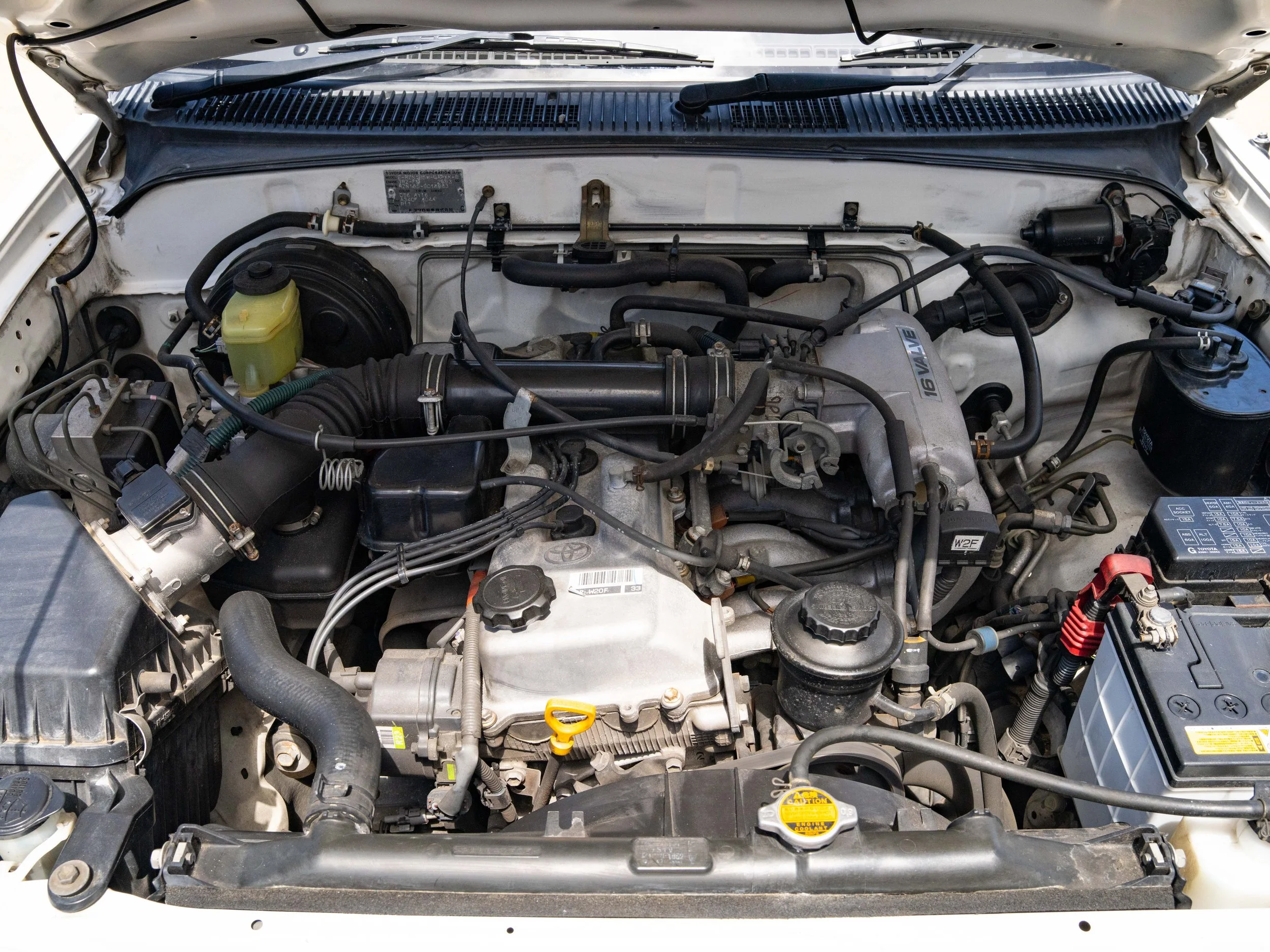 JDM-13.jpg