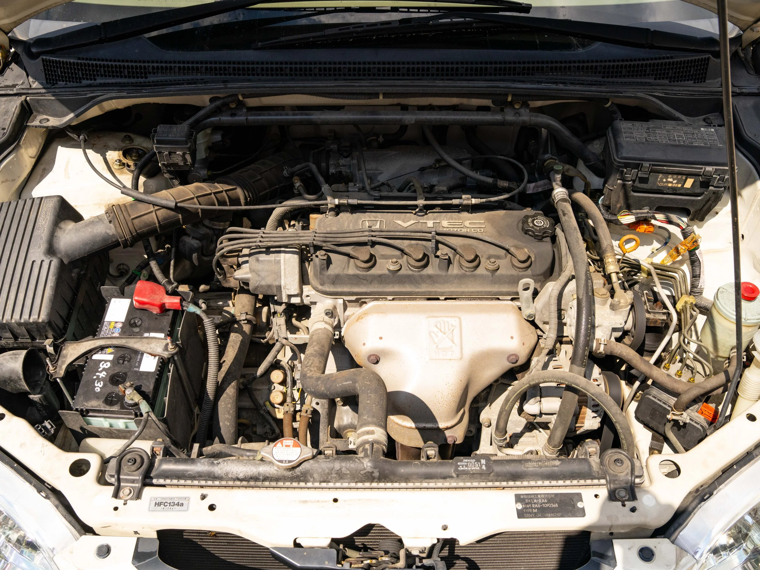 JDM-14.jpg