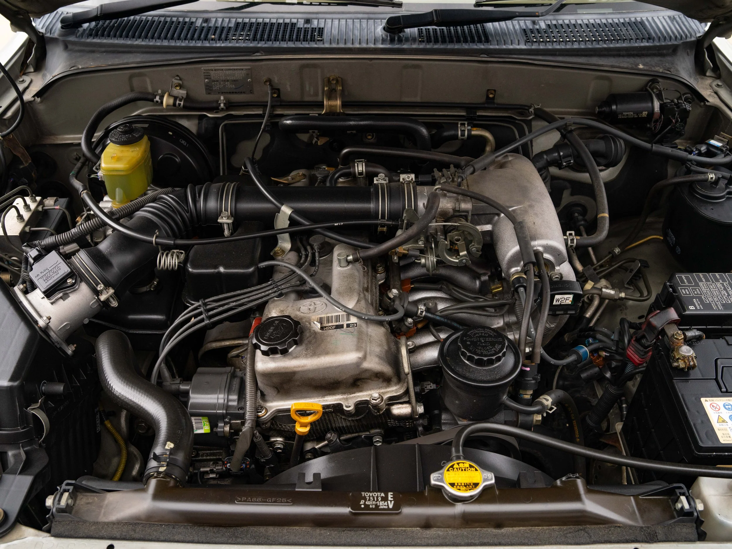 JDM-13.jpg