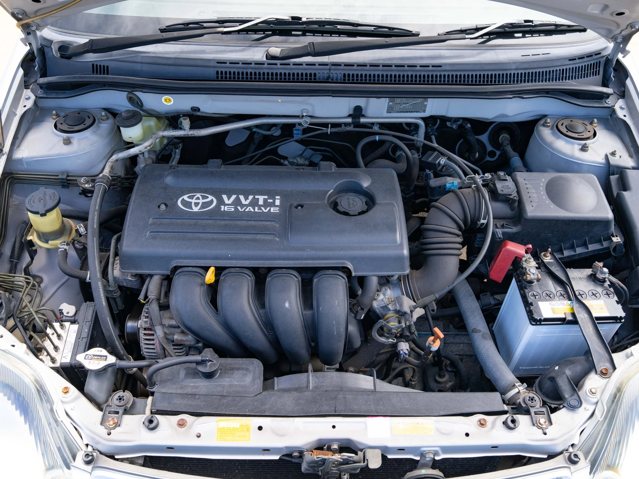 JDM-10.jpg