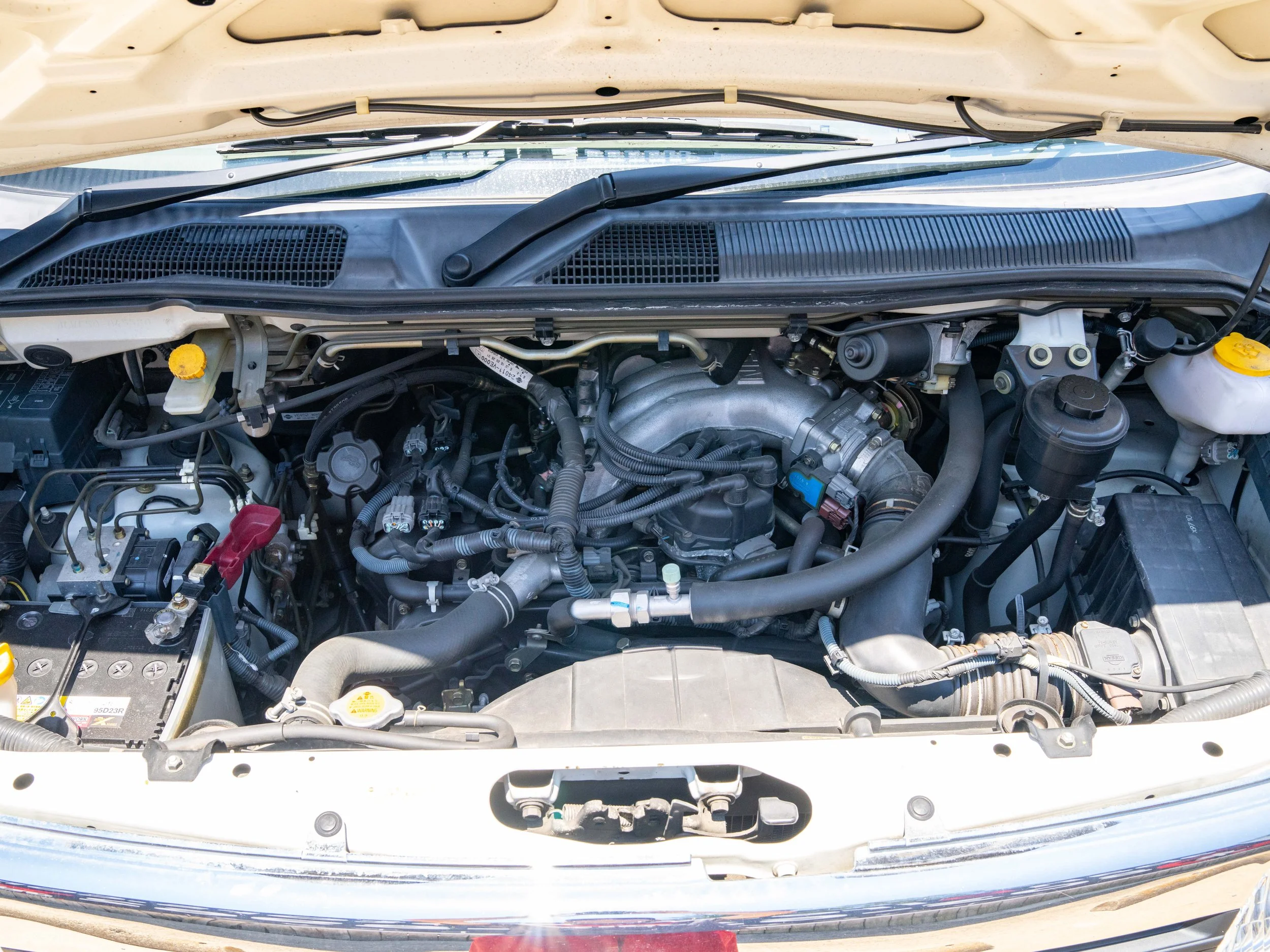 JDM-13.jpg
