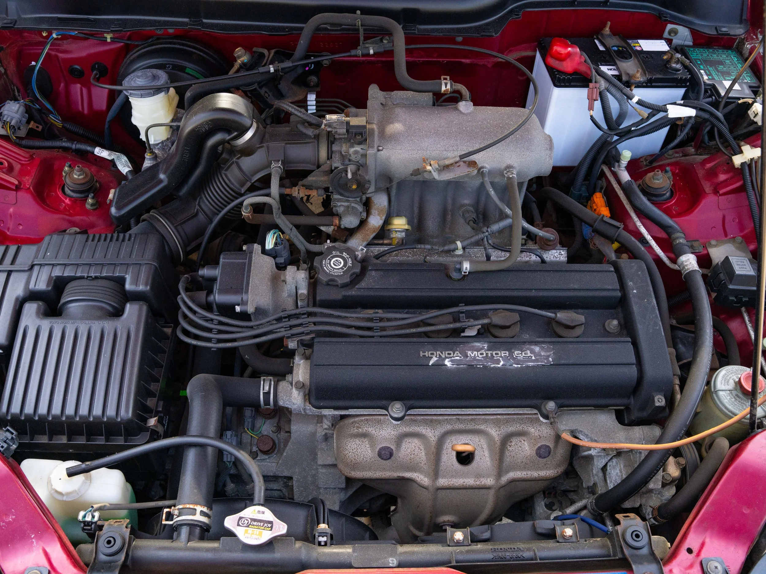 JDM-8.jpg