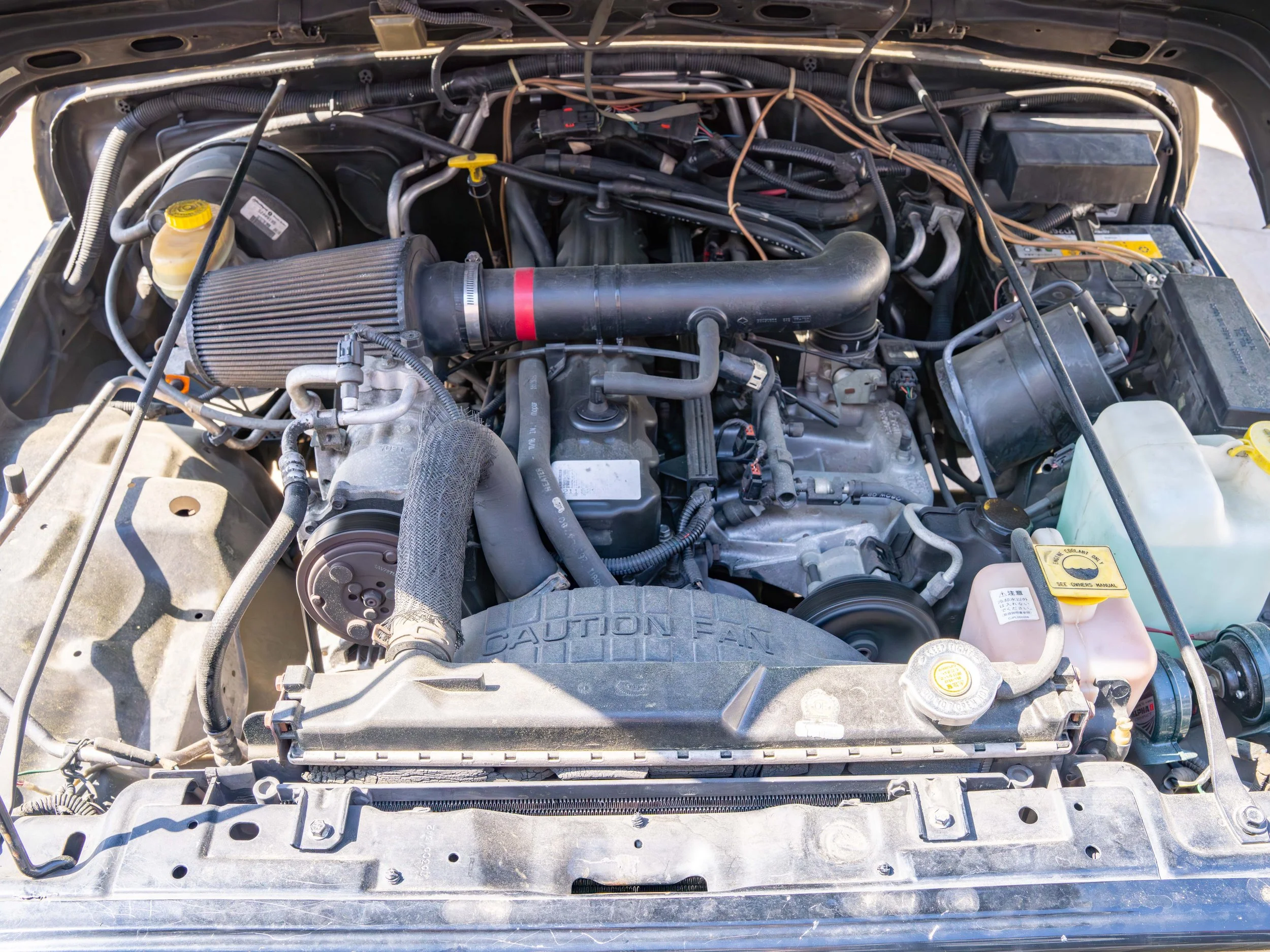 JDM-11.jpg