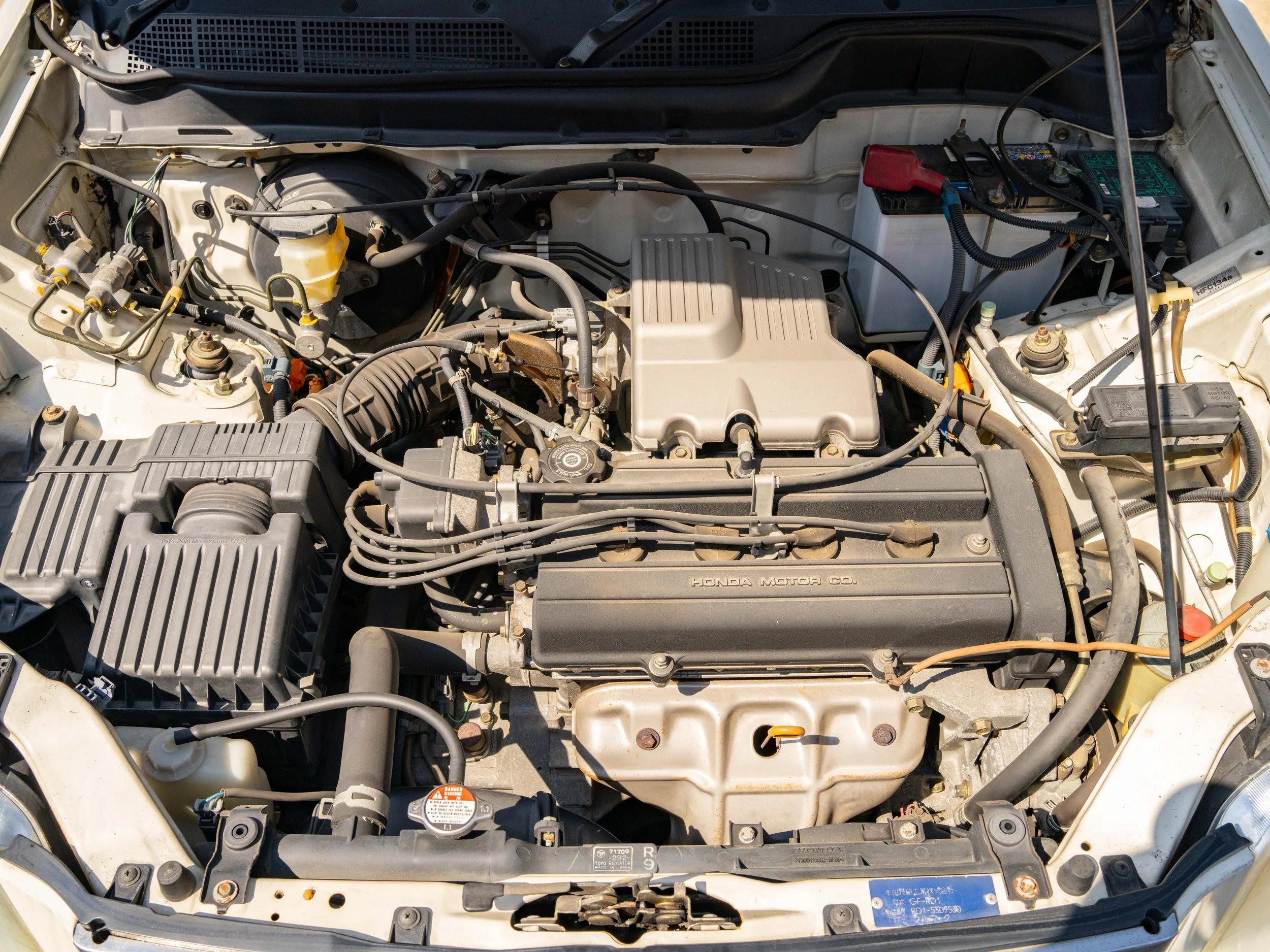 JDM-13.jpg