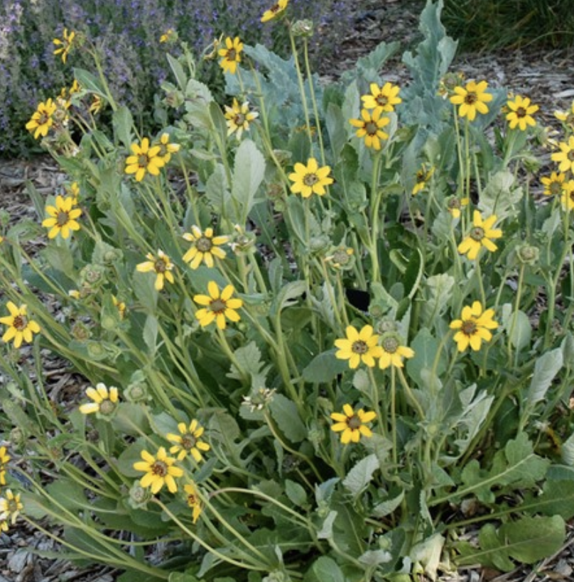 Screenshot 2026-04-16 at 6.22.03 PM.png