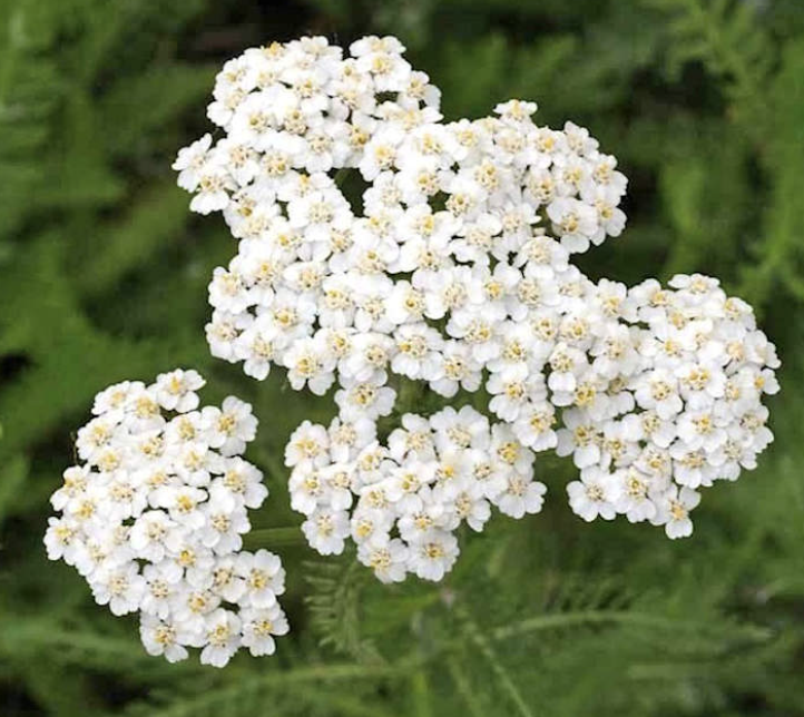 Screenshot 2026-04-16 at 6.19.54 PM.png