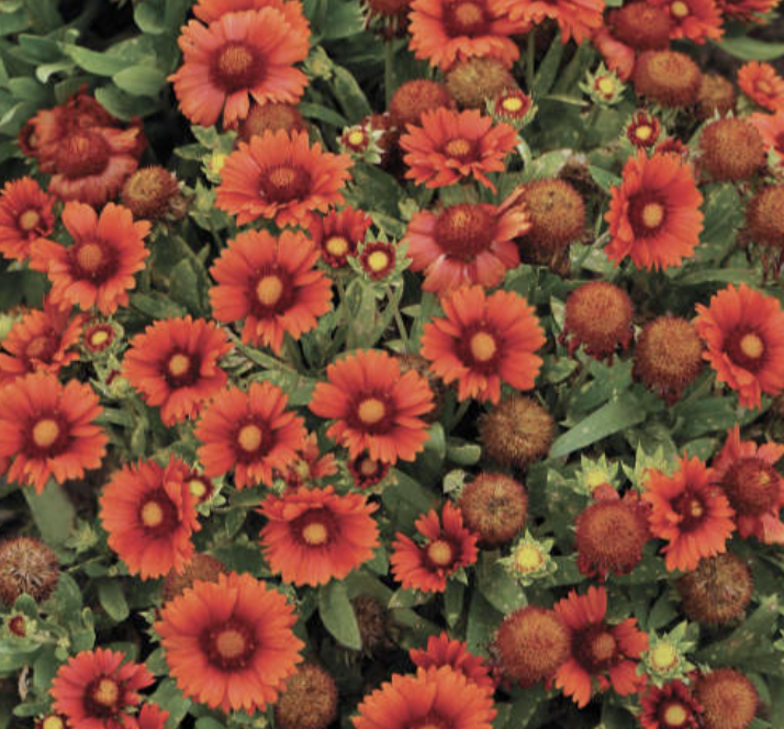 Screenshot 2026-04-16 at 6.30.20 PM.png