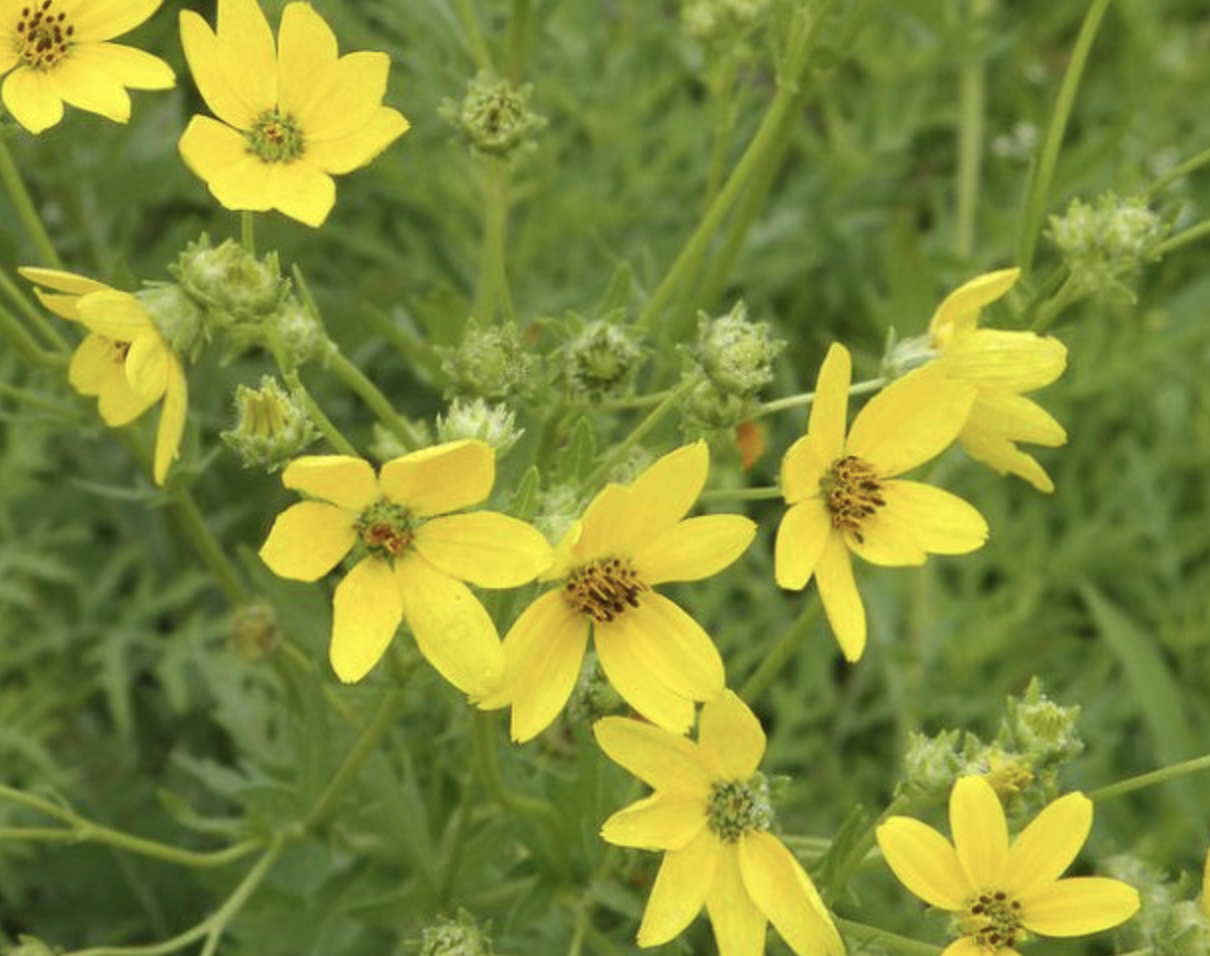 Screenshot 2026-04-16 at 6.26.56 PM.png