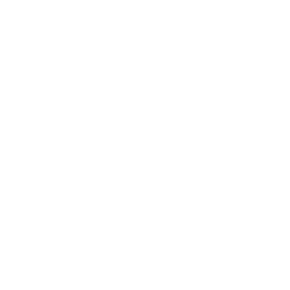 Empty white square with no visible objects or details.