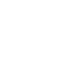 Empty white background.