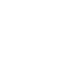 Empty white image with no visible objects or details.