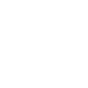 A black and white photograph of a woman in a ball gown holding a cat.