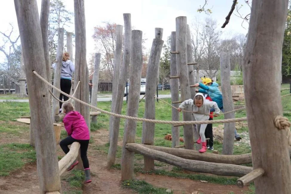 Free Play Saturdays