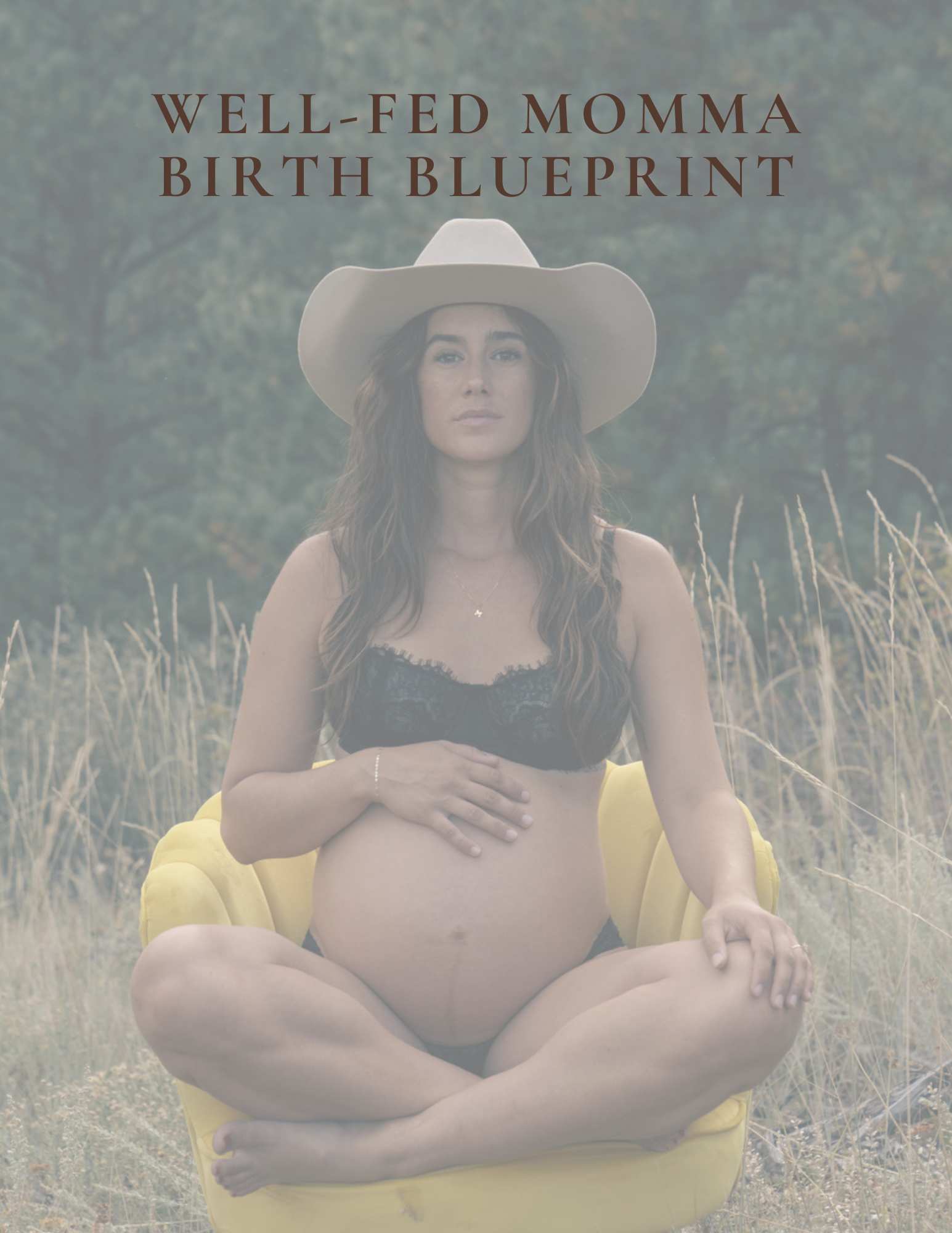 The Well-Fed Momma Birth Blueprint