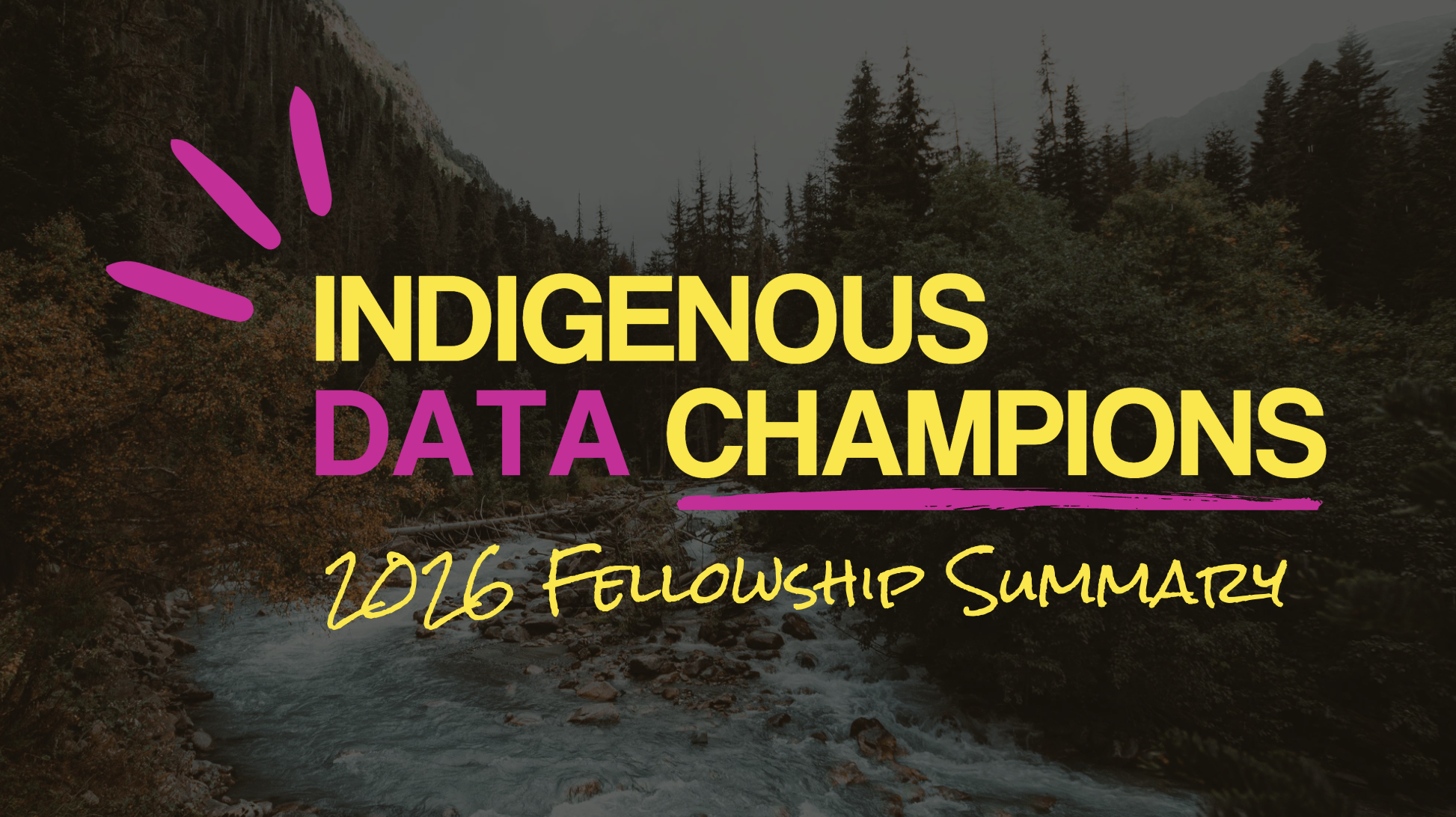 Indigenous Data Champions 2026 Cohort Summary