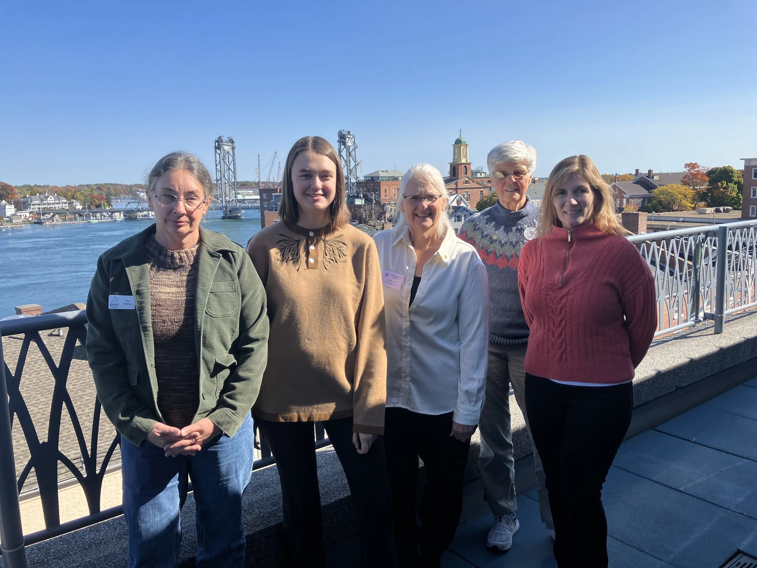 Join the New England Section Board of Directors!