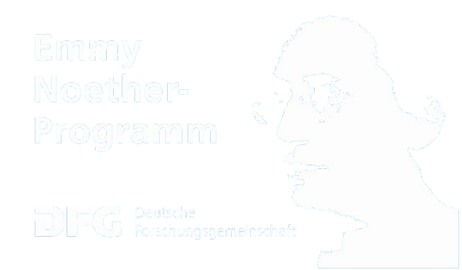 logo-emmy-noether-gross-data-removebg-preview.png