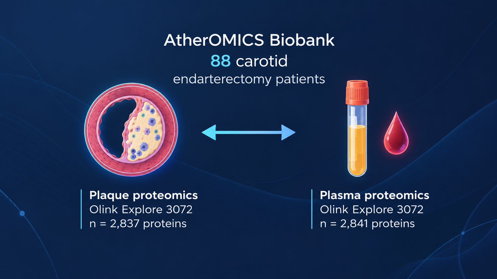 Paired plaque and plasma proteomic analyses in our AtherOMICS cohort