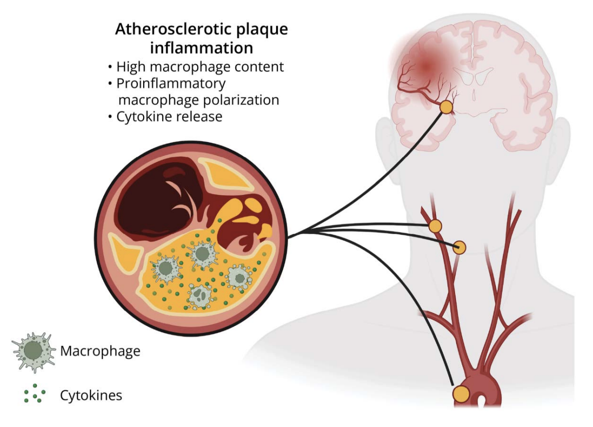 Screenshot 2025-10-05 at 14.44.39.png