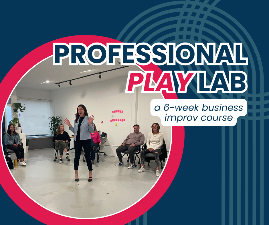 Professional Play Lab