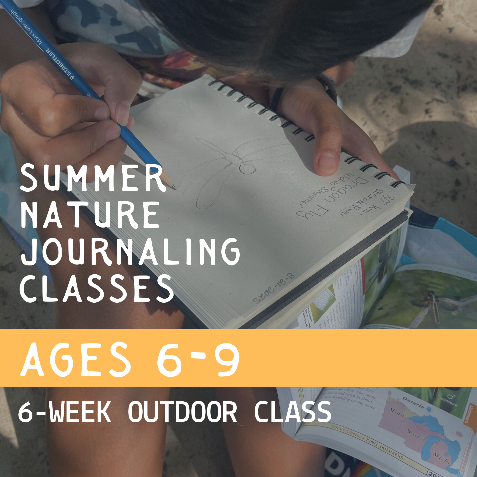 Summer Nature Journaling Classes — Ages 6–9