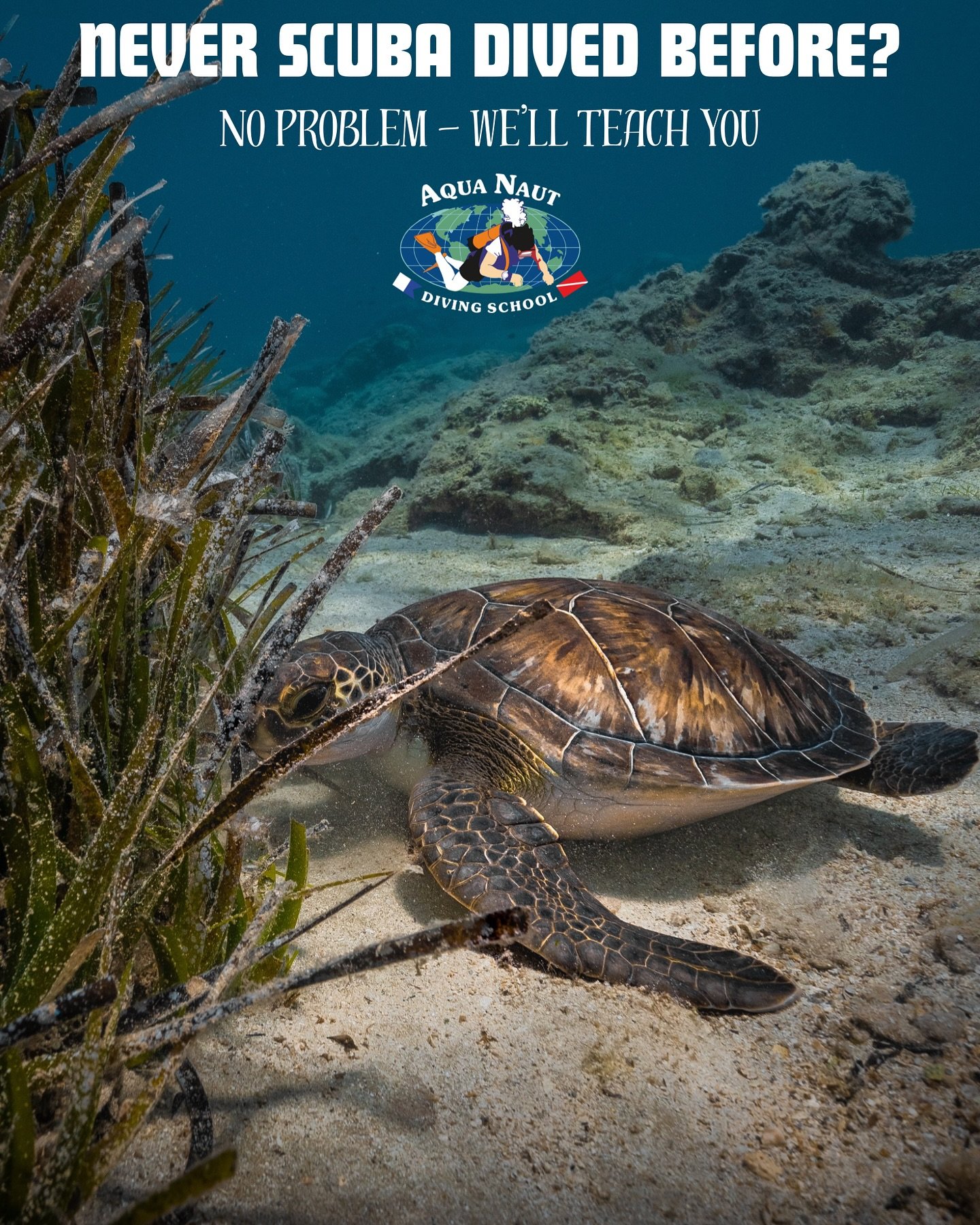 🌊 Curious about diving but never tried it before?
No problem &ndash; we&rsquo;ve got you covered!

Join us at Aquanaut Diving School, the only dive school located right on Green Bay, Protaras &ndash; just steps from the sea! 🐠🌴

Our Introduction D