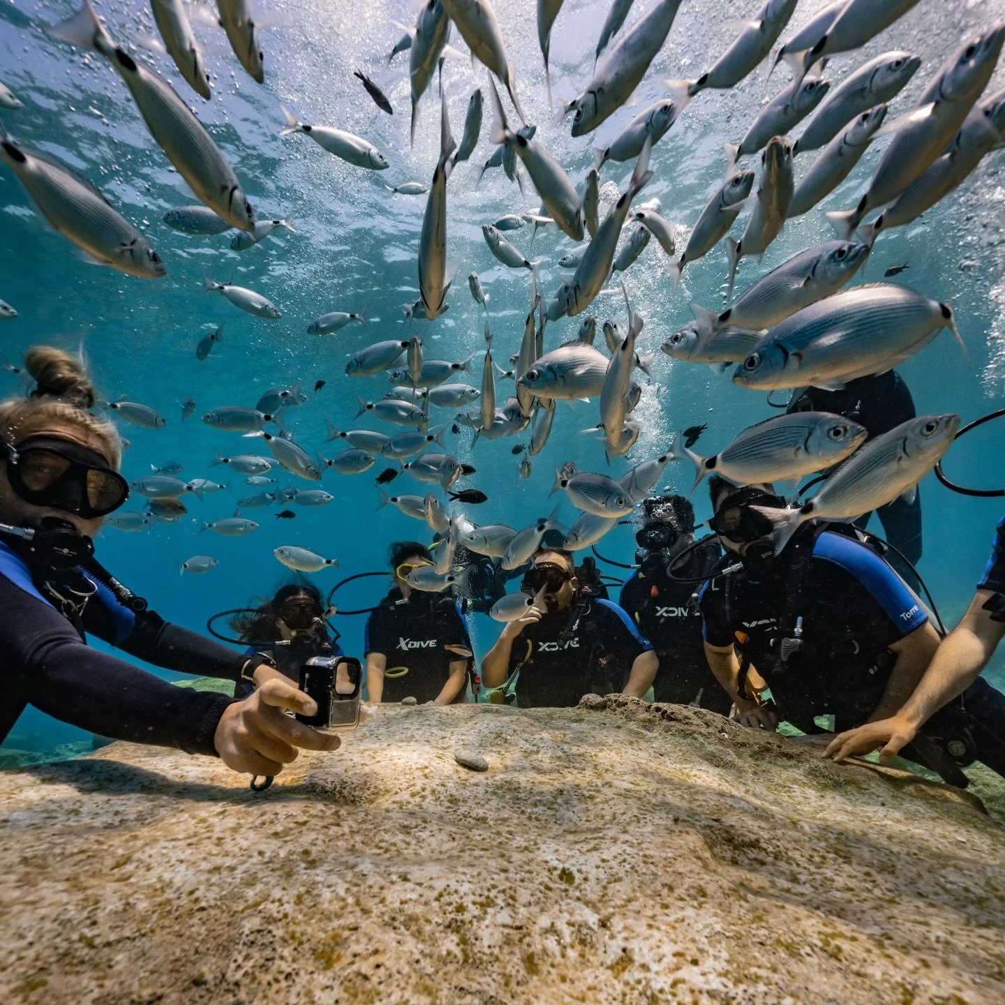 Ever wondered what it feels like to breathe underwater? 🤿🌊 
Our Combo Dive is your chance &mdash; 2 unforgettable dives for just &euro;115!

Perfect for beginners &mdash; no experience needed 😍

🕒 Daily Schedule (We run this EVERY DAY): 
&bull; ?