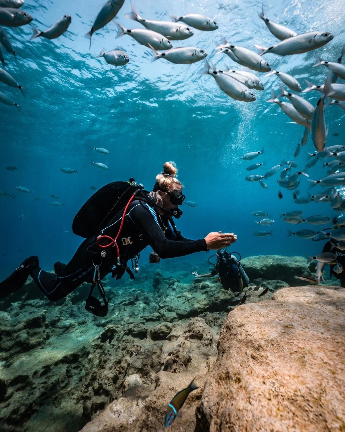 A scuba diver near a rocky ocean floor surrounded by a school of small fish.