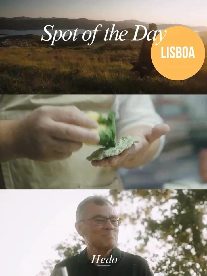 One of Lisbon&rsquo;s wildest spots.
Relentless pursuit of the best.
Hedo &hearts;️ @plano.restaurante