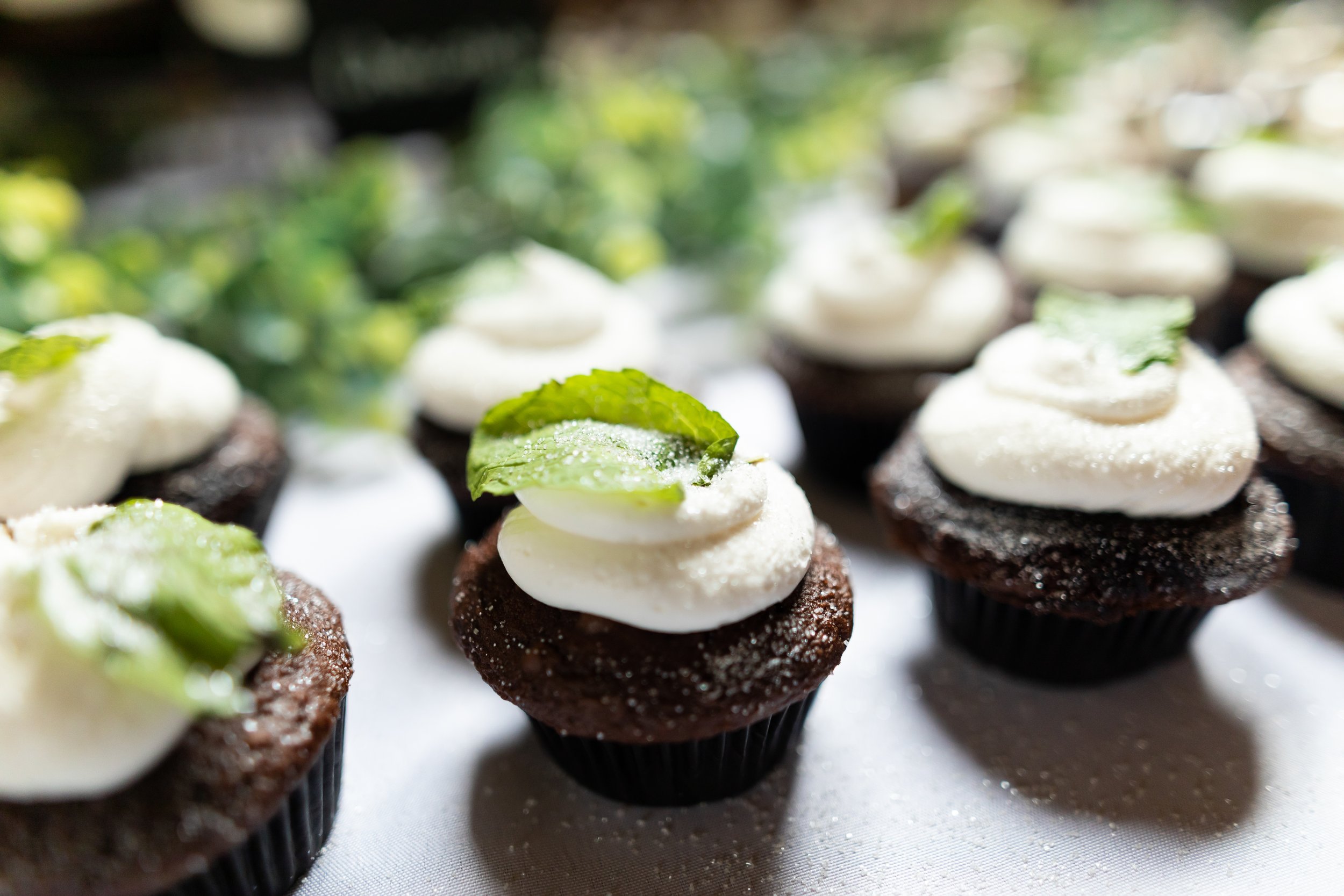 Chocolate cupcakes with white frosting and mint leaves, on a table with greenery background.